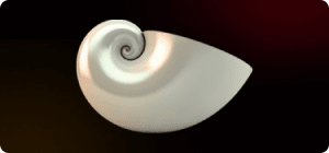 fibonacci retracements
